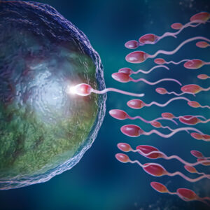 sperm count decline